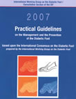 iwgdf_guidelines_07_cover_normal.jpg